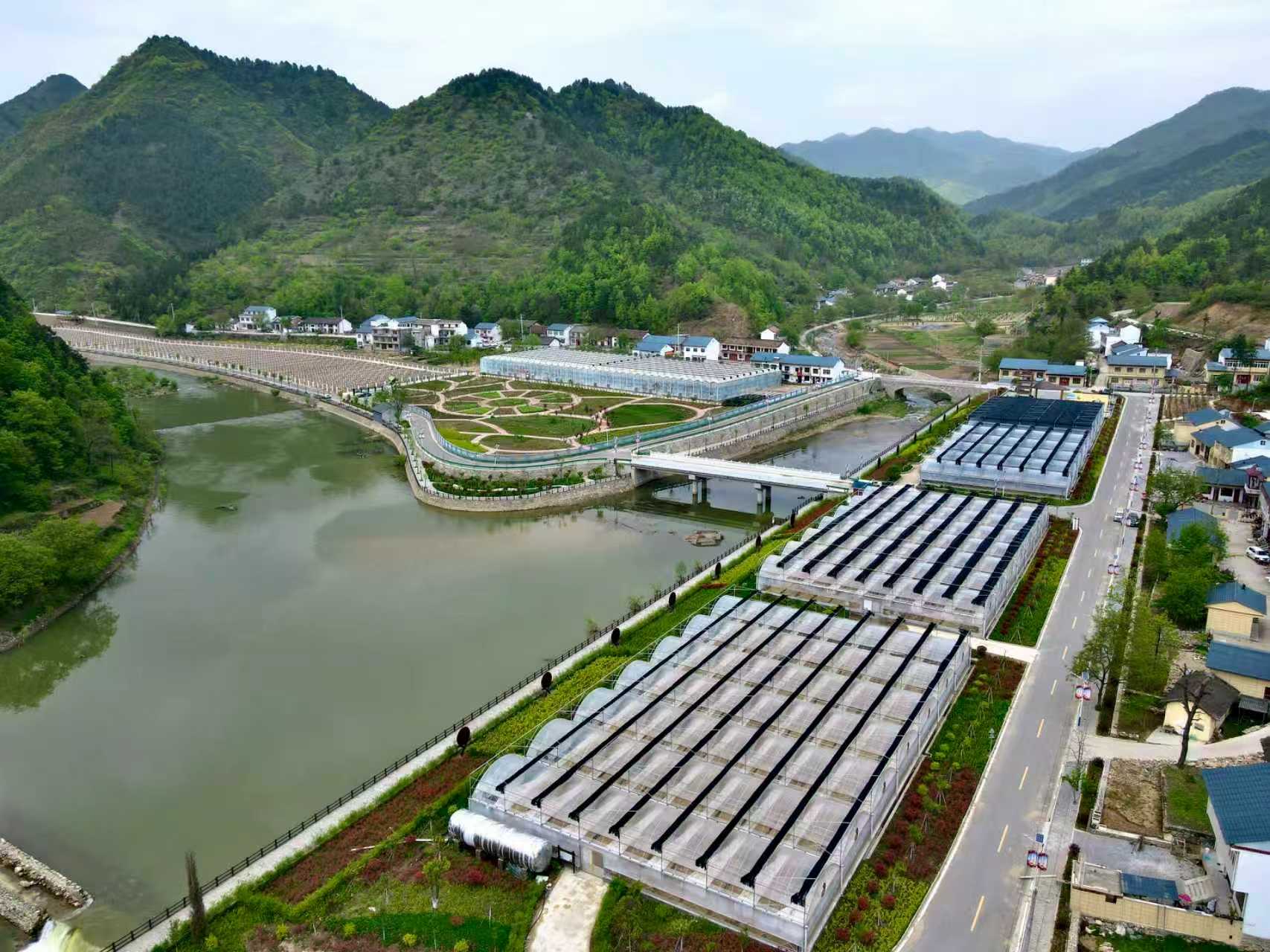 丹凤县良种天麻产业园